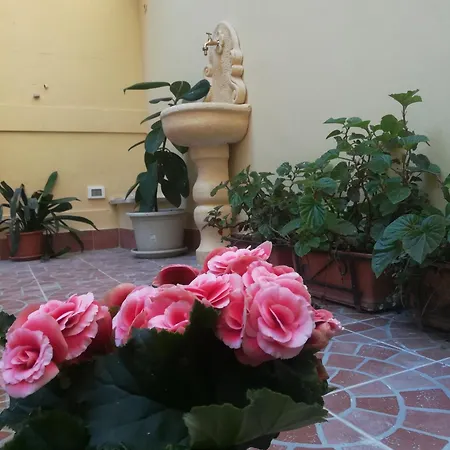 ゲストハウス Le Rose Del Viale パレルモ