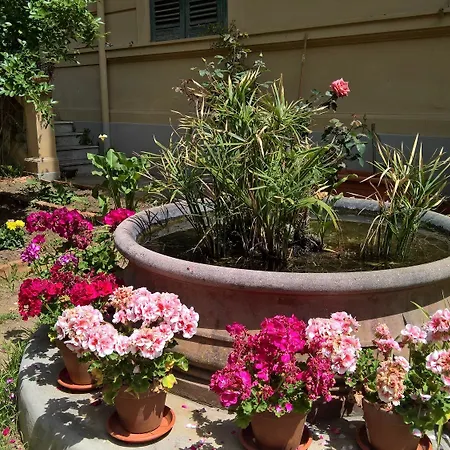 Le Rose Del Viale *