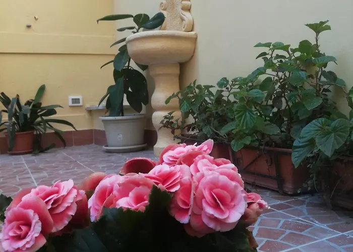 ゲストハウス Le Rose Del Viale パレルモ