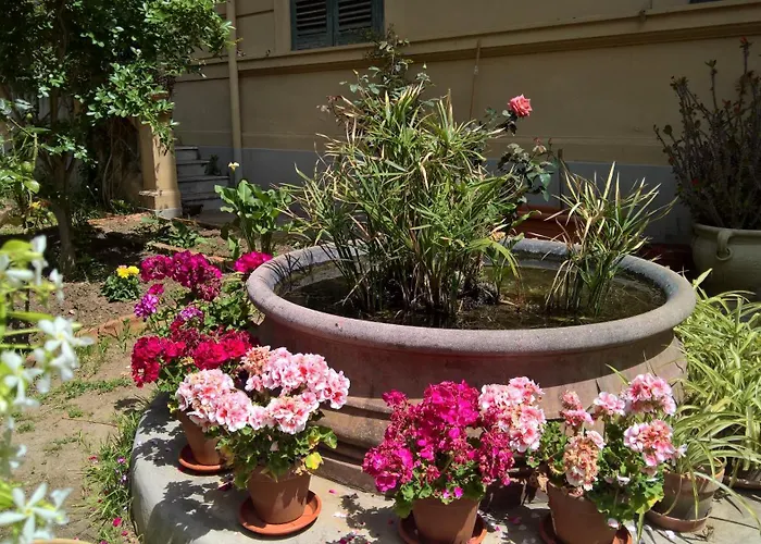 Le Rose Del Viale 4*