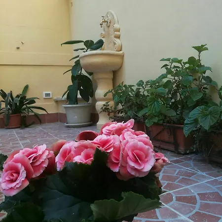 Affittacamere Le Rose Del Viale Palermo